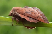 P6120332