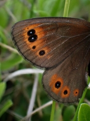 P6160056