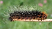 P6190440