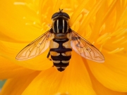 P7130083