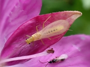 P7210692