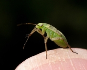 P7220129