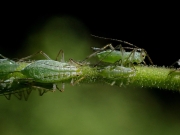 P7240198