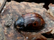 P1050390
