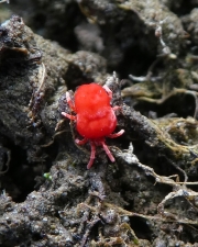 P1210557