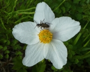 P1360173