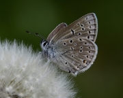DSC0450