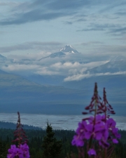 P1580378