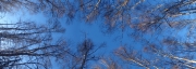 P2120575