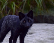 DSC0209