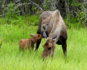 Getting-a-snack-8x10