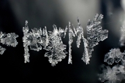 Ice-crystals-on-a-thread-of-silk-8x12