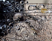 dew-on-dragonfly-wing-8x10
