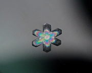 rainbow-snowflake-8x10