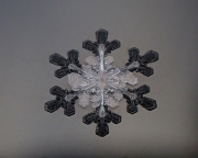 snowflake-black-rim-8x10