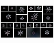 snowflake-collage-1-16x20