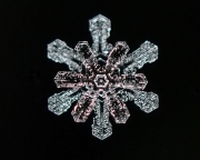 snowflake-in-color-8x10