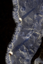 DSC1092