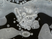 P1060243