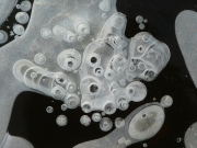 P1060246