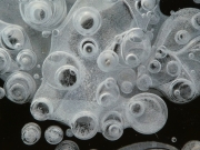 P1060247