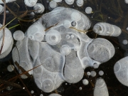 P1060253