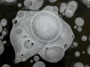 P1060401