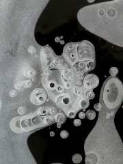 P1060407