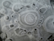 P1060578