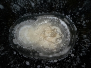 P1130196
