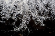 Dew-of-feather-3x2