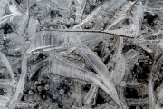 Movement-through-ice-3x2