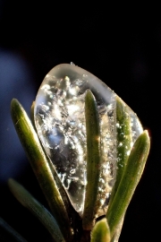 ice-drop-in-sun-3x2
