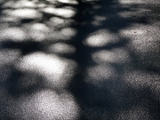 P1040465-2