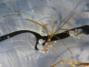 P1050920