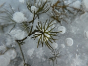 P1070122