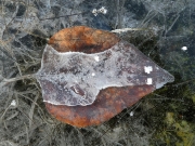 P1070155