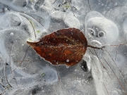 P1070193
