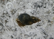 P1080936