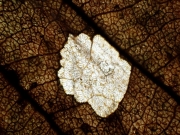 P3111259