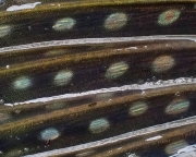 P9151571