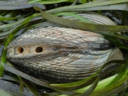 P1130476