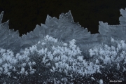 DSC0150