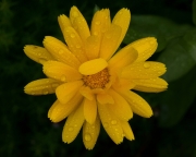 DSC0292