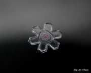 P1210443