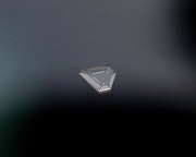 P1311158