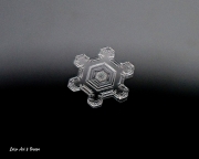 P2010170watermarked