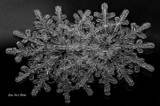 P2231167-v2