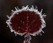P9230136