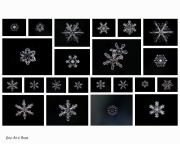 snowflake-collage-1-watermarked
